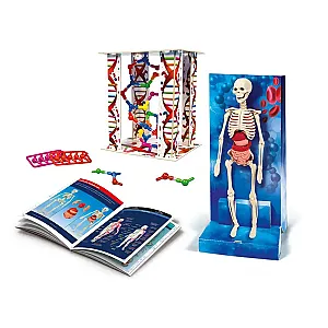Clementoni Science&Play: Corpul uman