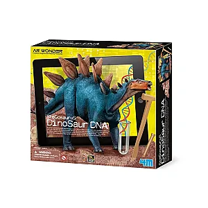 4M Stegosaurus ADN