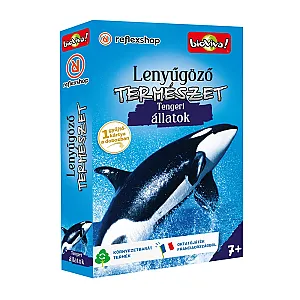 Lenyűgöző természet: Tengeri állatok