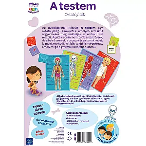 Trefl: Kis felfedező - A testem
