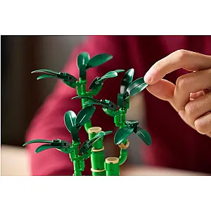 LEGO® Botanicals 10344 – Bambus norocos