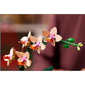 LEGO® Botanicals 10343 – Mini orhidee
