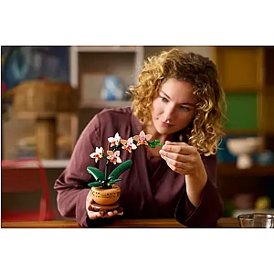 LEGO® Botanicals 10343 – Mini orhidee