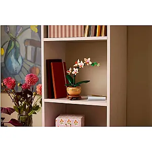 LEGO® Botanicals 10343 – Mini orhidee