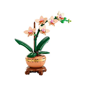 LEGO® Botanicals 10343 – Mini orhidee