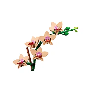 LEGO® Botanicals 10343 – Mini orhidee
