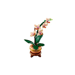 LEGO® Botanicals 10343 – Mini orhidee