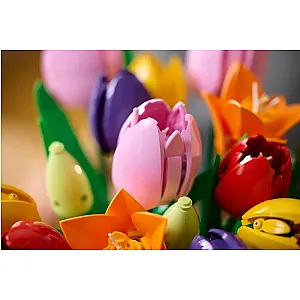 LEGO® Botanicas 11501 – Tulipáncsokor