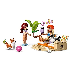 LEGO® Friends 42641 – Kutyás szörf- és robogókaland