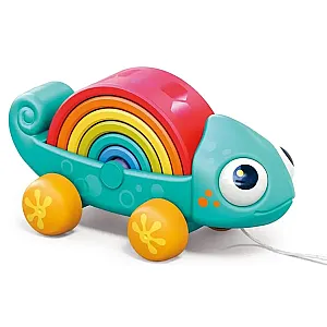 Hola Cameleon curcubeu
