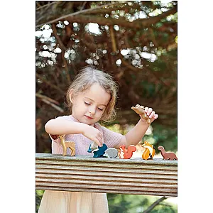 Tender Leaf animale din pădure – set din lemn cu raft