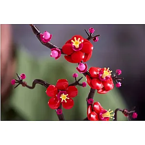 LEGO® Botanicals 10369 - Floare de Prun