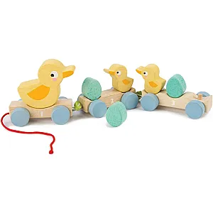 Tender Leaf Toys - Familie de rățuște de tras