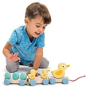 Tender Leaf Toys - Familie de rățuște de tras