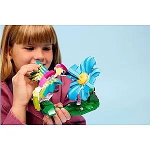 LEGO® Creator 31384 - Vadállatok: Színpompás kolibri
