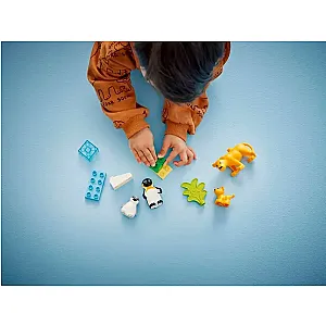 LEGO DUPLO 10442 – Familii de animale sălbatice: Pinguini și lei