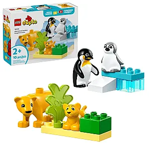 LEGO DUPLO 10442 – Familii de animale sălbatice: Pinguini și lei