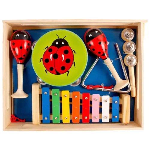 Set de instrumente muzicale pentru copii cu buburuze – 6 piese 06566